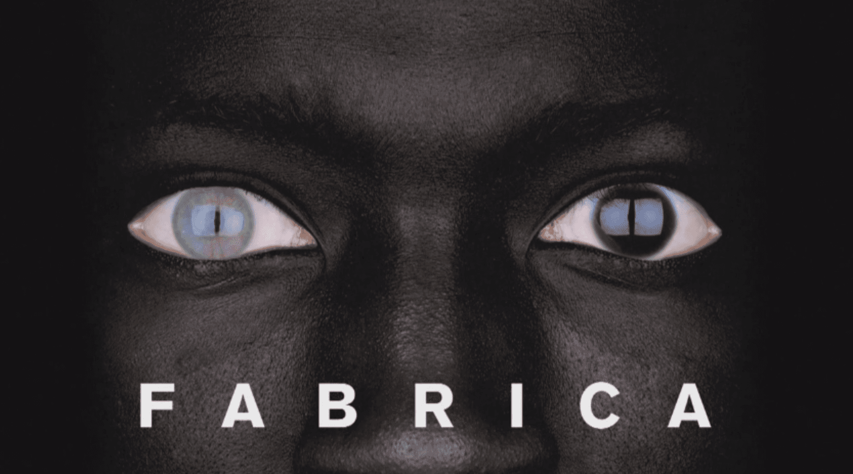 FABRICA ART RESIDENCY